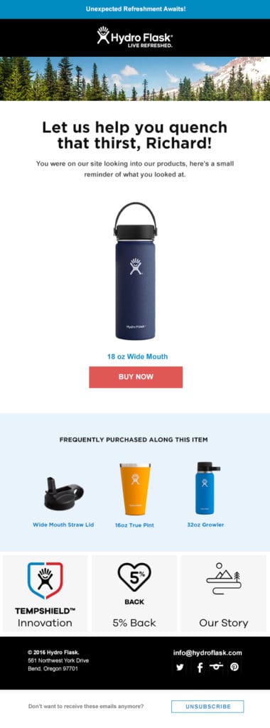 HydroFlask Browse abandonment email