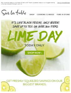 Sur La Table Lime Day email 2017