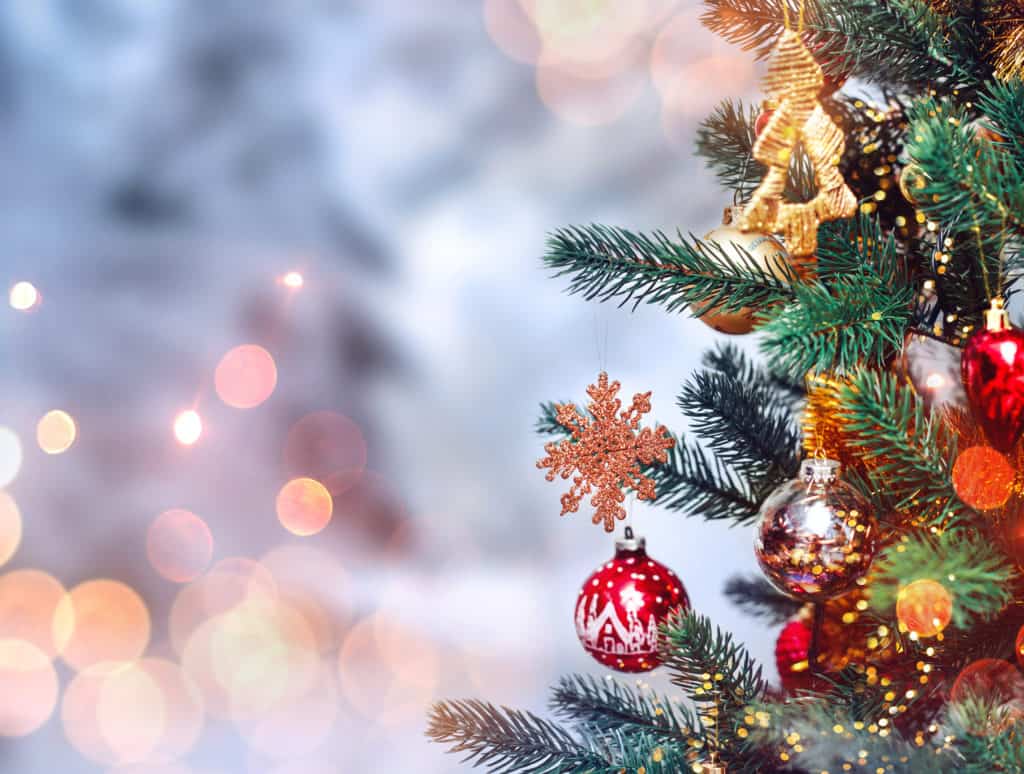Sales and traffic data point to a strong online holiday season