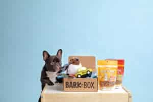 barkbox