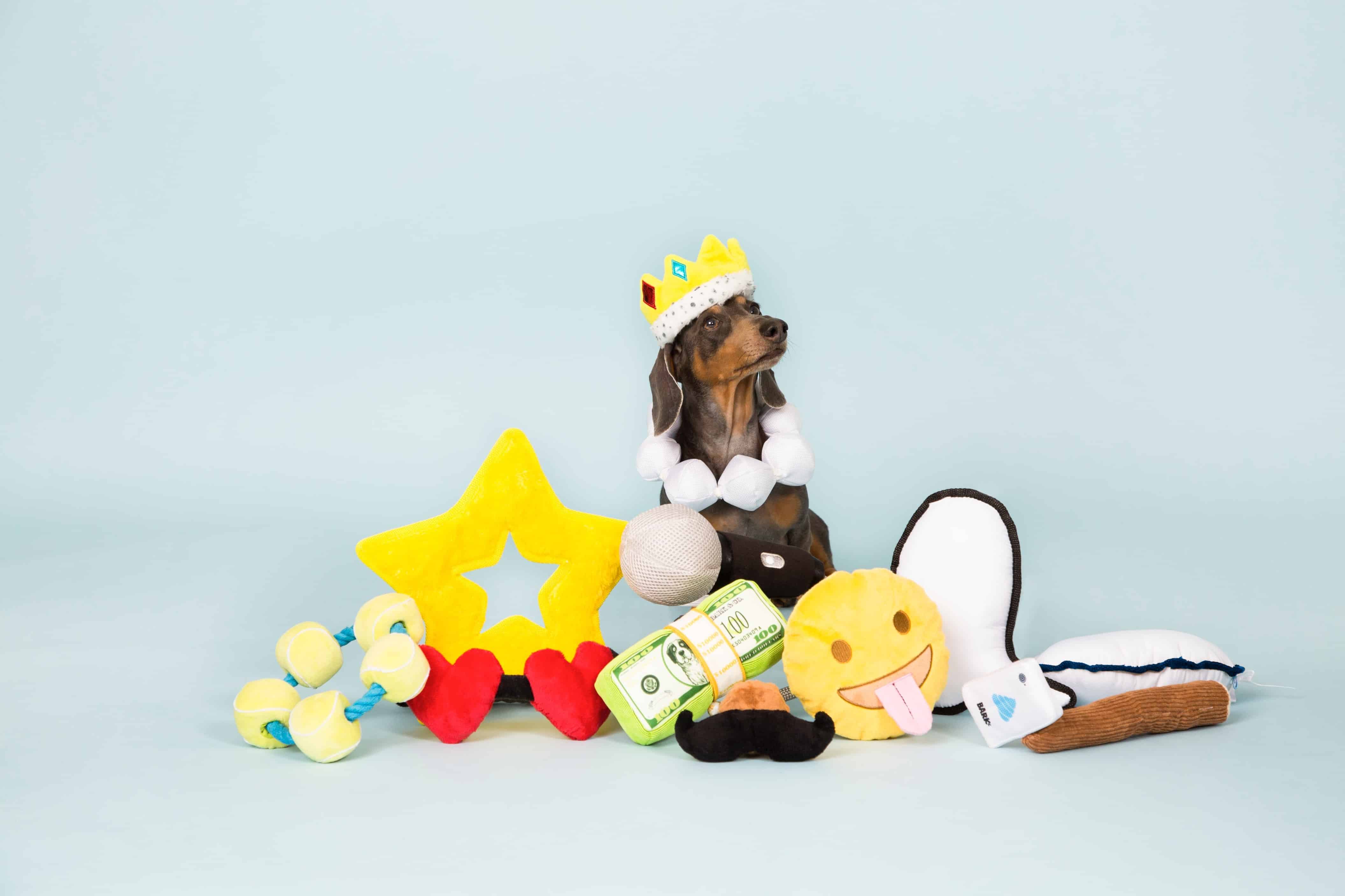 Barkbox Toys At Target Wow Blog
