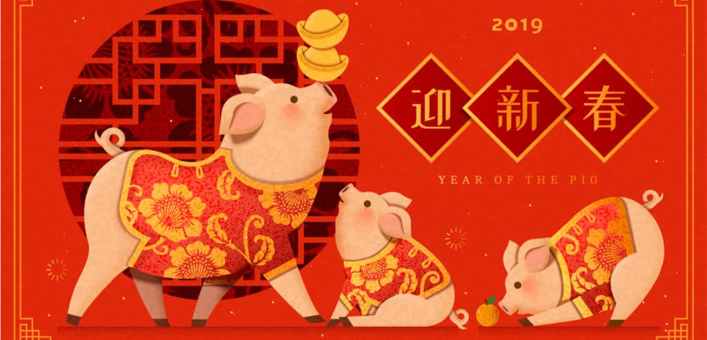 China year of the pig ecommerce