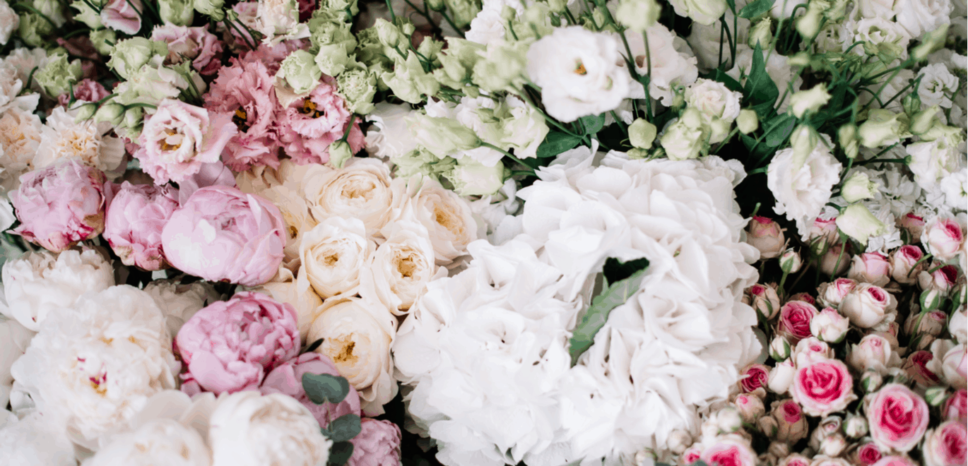 internet florist