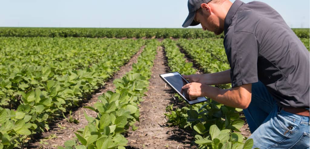 An agriculture B2B marketplace harvests $250 million
