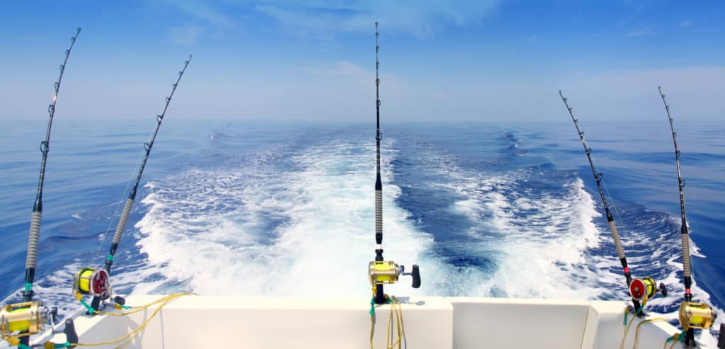 A sports fishing supplier hooks a new B2B ecommerce site