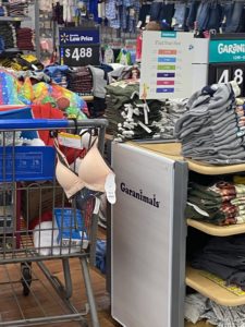 walmart messy store