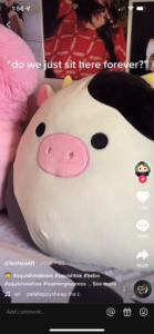 Squishmallow TikTok user