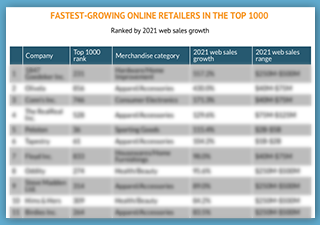 The 15 fastest-growing online retailers in the Top 1000 by 2021 web sales