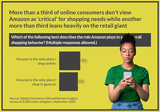 Chart - More than a third of online consumers don't view Amazon as "critical" for shopping needs while another more than third leans heavily on the retail giant