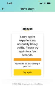 Amazon outage 2022