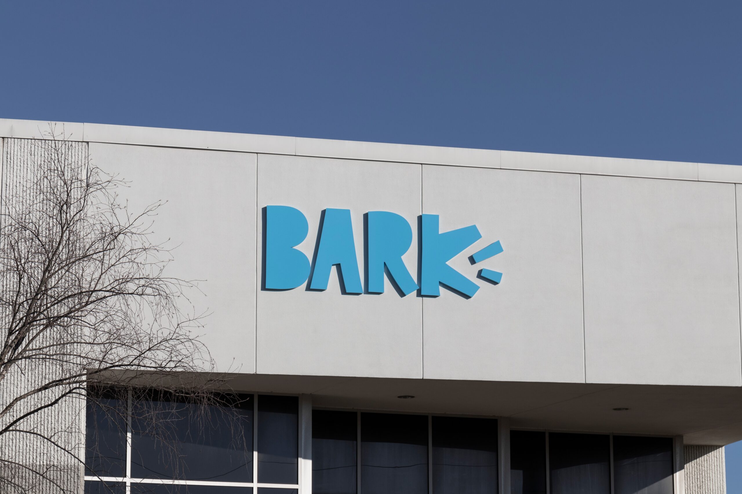 Meghan Knoll joins leadership at Bark as head of DTC