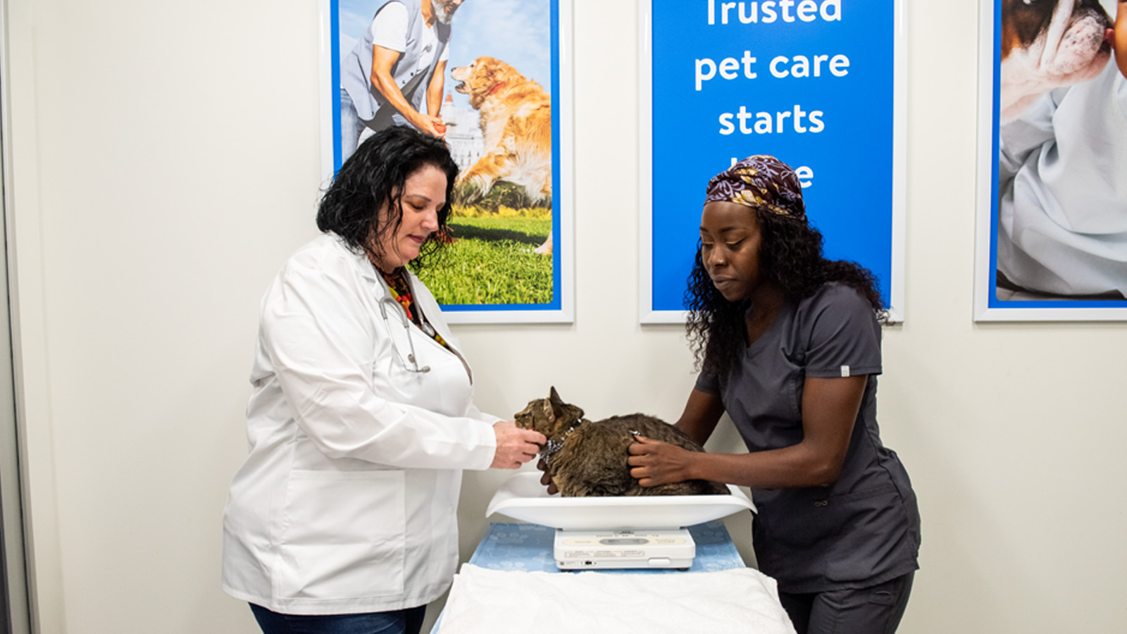 Walmart pet care builds out omnichannel, membership services
