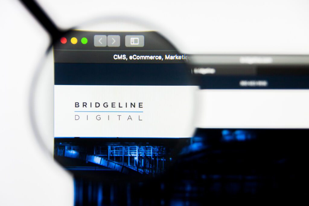 Bridgeline and Znode designed the AI search integration to improve how business buyers find and navigate products online. | Image credit: pvl - Adobe Stock