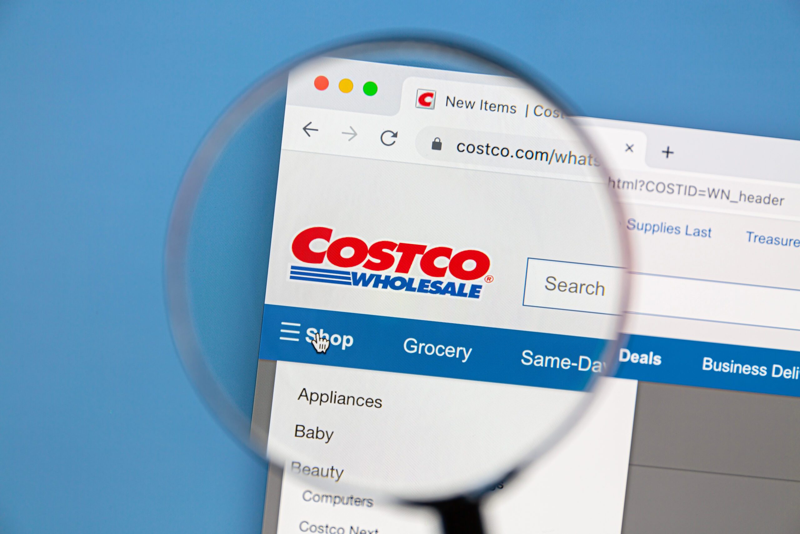 Conversion lift boosts Costco ecommerce sales growth in Q3 2026