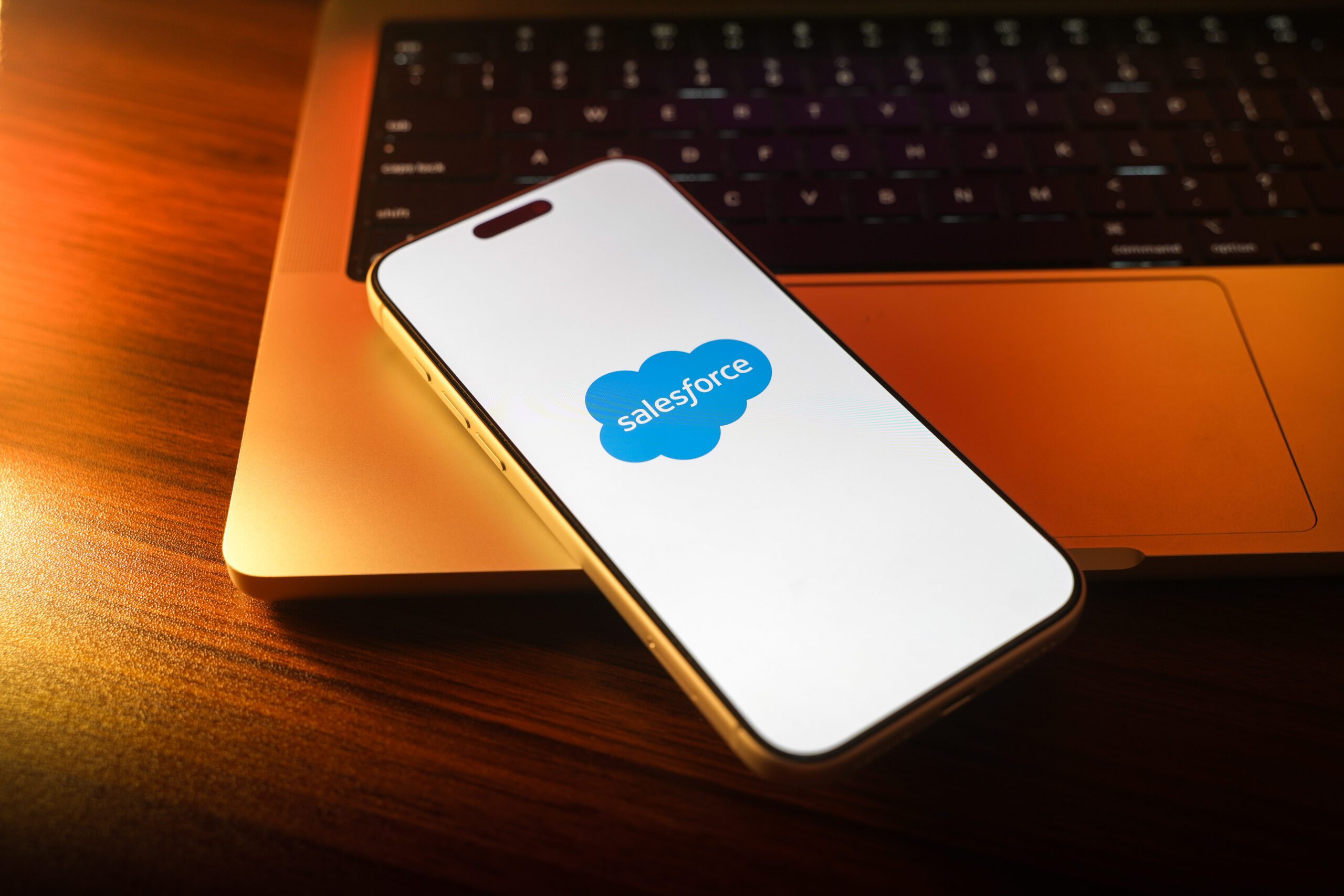 Salesforce releases AI agents among B2B ecommerce updates — GLOBAL — Aslikannih
